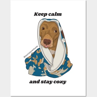 Keep calm and stay cozy Posters and Art